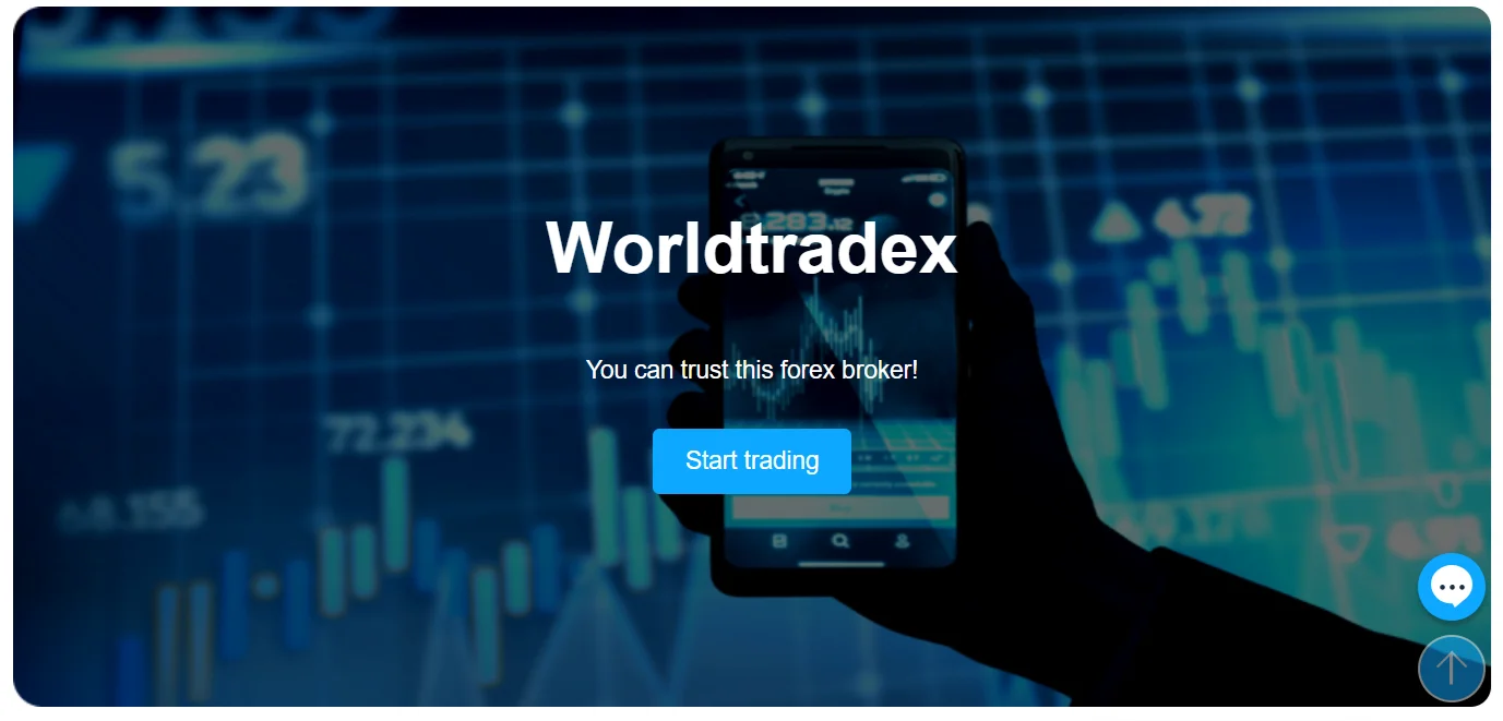 Detailed Trading Information about WorldTradex (2024): image 1